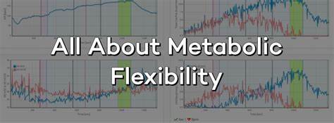 diet flexibility through a metabolic flexibility diet