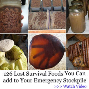126 lost superfoods
