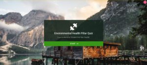 Environmental health pillar quiz